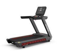 Беговая дорожка UltraGym UG-POWER 009